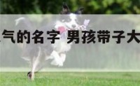 男孩带子大气的名字 男孩带子大气的名字两个字