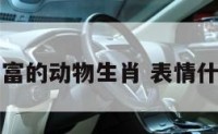 表情丰富的动物生肖 表情什么生肖