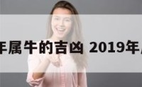 2019年属牛的吉凶 2019年属牛人