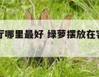 绿萝放客厅哪里最好 绿萝摆放在客厅哪个方向好
