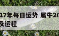 属牛2017年每日运势 属牛2017年每日运势及运程