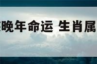 属狗申时女孩晚年命运 生肖属狗的申时出生的人