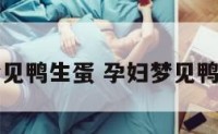 孕妇梦见鸭生蛋 孕妇梦见鸭生蛋了