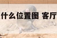 客厅的财位在什么位置图 客厅的财位和吉位的示意图