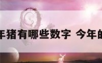 今年猪有哪些数字 今年的猪