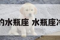 冷漠无情的水瓶座 水瓶座冷漠无情吗