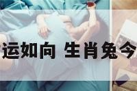 今日属兔财运如向 生肖兔今日财运如何