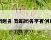 舞蹈团起名 舞蹈团名字有创意好听