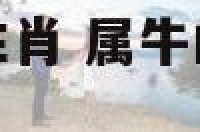 属牛适合摆什么生肖 属牛的买什么生肖摆件好