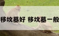 什么时间移坟墓好 移坟墓一般什么季节