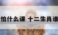 十二生肖最怕什么课 十二生肖谁怕谁的顺序