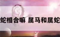属马的和属蛇相合嘛 属马和属蛇的合不合婚
