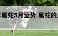 2017年属蛇5月运势 属蛇的人2017年运势