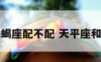 天平座和天蝎座配不配 天平座和天平座配吗