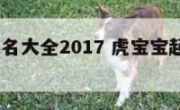虎宝宝起名大全2017 虎宝宝起名大全2017年