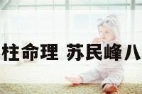 苏民峰讲解四柱命理 苏民峰八字论命断命理