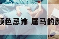 属马的颜色忌讳 属马的颜色喜忌