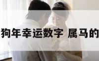 属马狗年幸运数字 属马的狗年