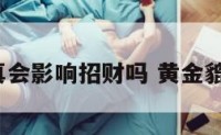 黄金貔貅真会影响招财吗 黄金貔貅聚财吗?