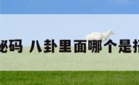 八卦招财秘码 八卦里面哪个是招财的卦象
