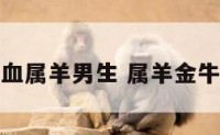 金牛座b型血属羊男生 属羊金牛座b型血女