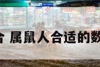 属鼠人6合 属鼠人合适的数字有哪些
