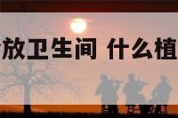 那些植物适合放卫生间 什么植物适合卫生间养
