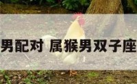 属猴双子男配对 属猴男双子座最佳搭配