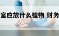 财务的办公室应放什么植物 财务办公室放什么植物好
