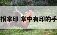 手相掌印 掌中有印的手纹