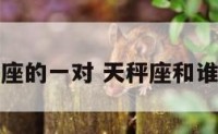 天秤座的一对 天秤座和谁一对
