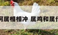 属鸡同何属相相冲 属鸡和属什么相冲