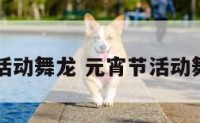 元宵节活动舞龙 元宵节活动舞龙图片
