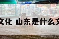 山东是什么文化 山东是什么文化的发源地