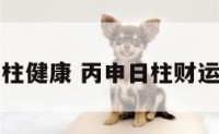 丙申日柱健康 丙申日柱财运怎么样