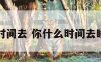 你什么时间去 你什么时间去睡觉英文