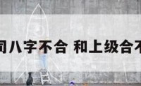 感觉跟上司八字不合 和上级合不来怎么办