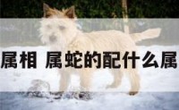 属蛇搭配的属相 属蛇的配什么属相结合最好