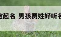 贾氏男宝宝起名 男孩贾姓好听名字大全2021