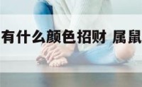 属鼠的门面有什么颜色招财 属鼠人做生意门面朝哪