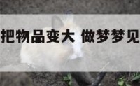 梦见自己能把物品变大 做梦梦见把东西变得特别大