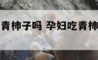 孕妇可以吃青柿子吗 孕妇吃青柿子对胎儿好吗