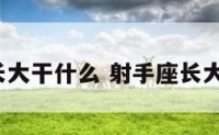 射手座长大干什么 射手座长大干什么?