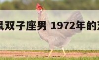 72年属鼠双子座男 1972年的双子男什么命