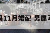 男属马11月婚配 男属马配偶