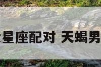 天蝎男水瓶女星座配对 天蝎男水瓶女座配吗