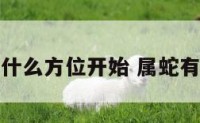 属蛇在什么方位开始 属蛇有利方位