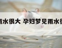 孕妇梦见雨水很大 孕妇梦见雨水很大什么预兆