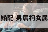 男属狗女龙婚配 男属狗女属龙婚配好吗