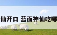 蓝面神仙开口 蓝面神仙吃哪些珊瑚